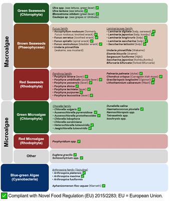 The utility of algae as sources of high value nutritional ingredients, particularly for alternative/complementary proteins to improve human health